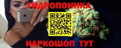 соль ск Ипатово