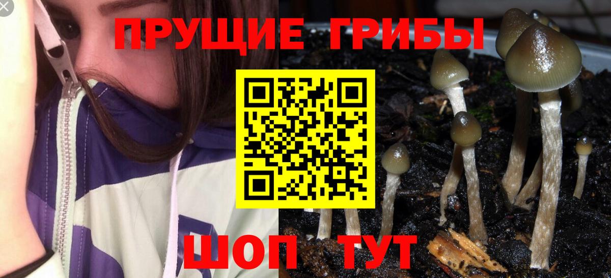 Псилоцибиновые грибы мухоморы Кубинка